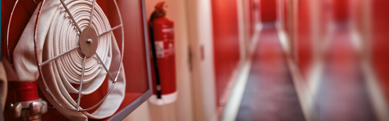 WordPress Care Newcastle