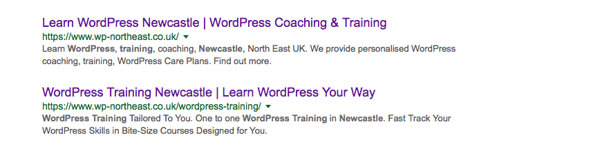 WordPress SEO Training Newcastle