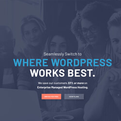 WordPress Training Newcastle