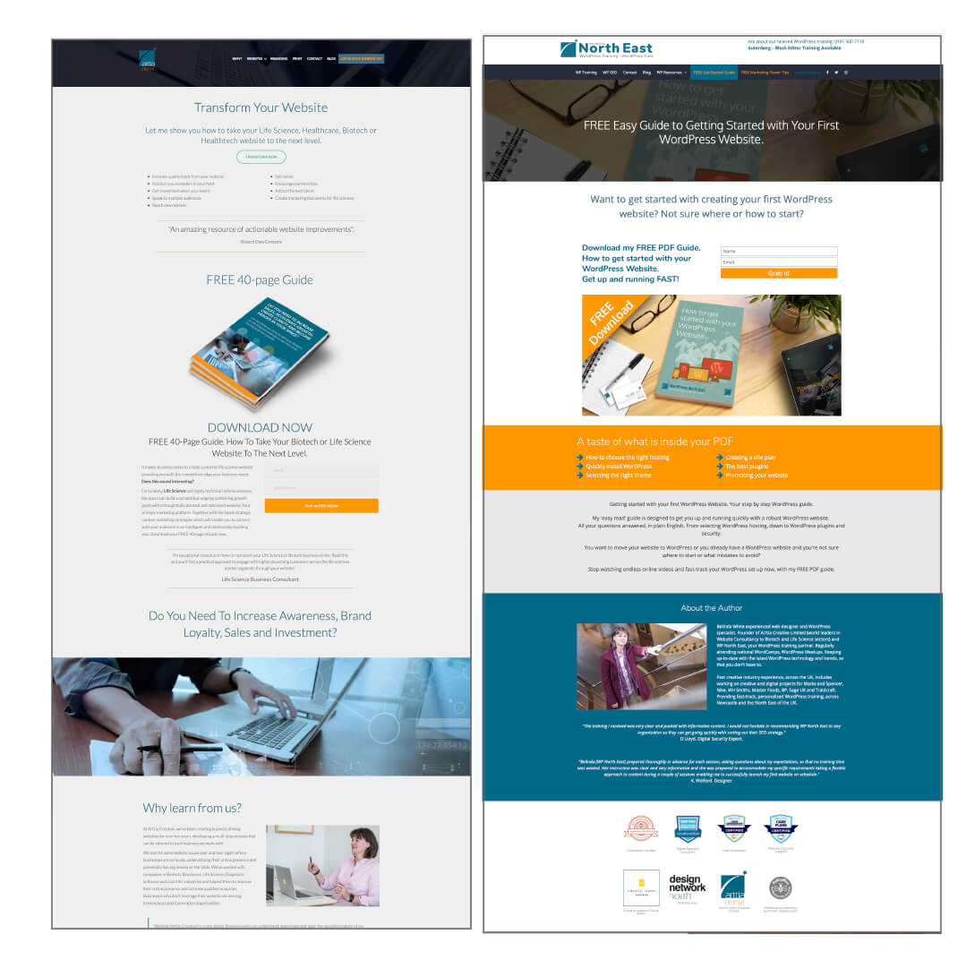 What is a WordPress Landing Page and Why Create One - examples 1 What is a WordPress Landing Page and Why Create One - examples 1